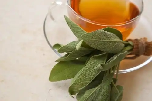 Infuzie de salvie