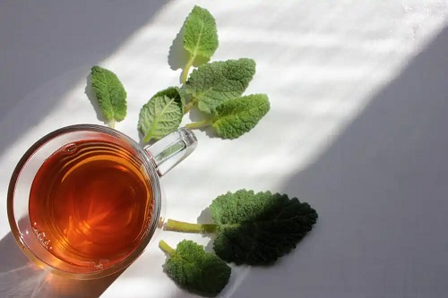 Infuzii pentru tratarea crampelor menstruale cu salvie