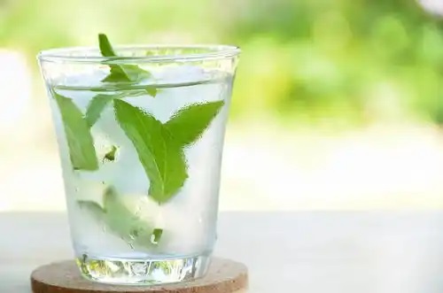 Limonadă cu mentă