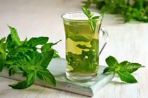 Menta pe lista cu plante pentru băi de picioare