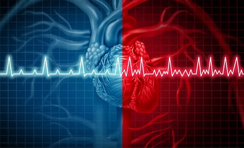 Activitatea inimii la EKG