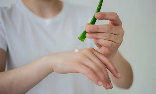 Aloe vera