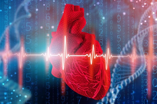 Procedura de electrocardiogramă