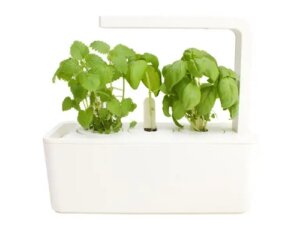 Ghiveciul inteligent: cum funcționează și ce beneficii are pentru plante?