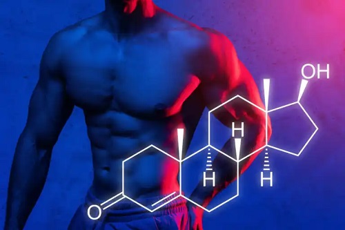 Sinteza proteinelor: cum crește masa musculară
