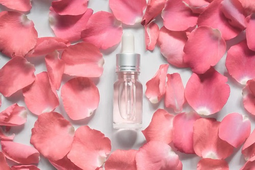 Trandafirul pe lista de plante cosmetice