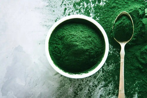 Beneficiile pudrei proteice din alge
