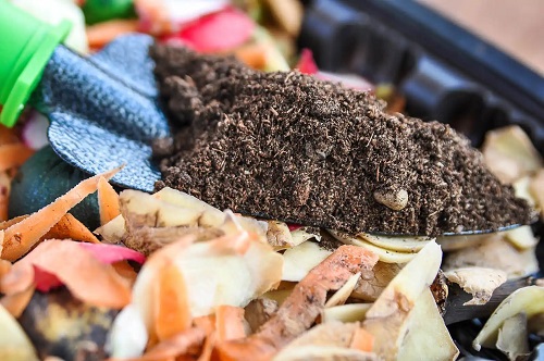 Compost organic