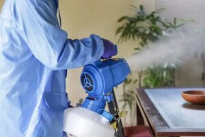 Cum se curăță casa după fumigare? Pași și sfaturi