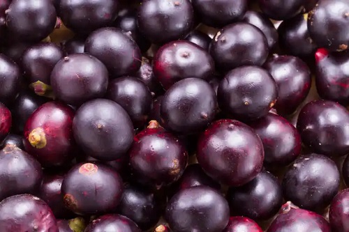 Fructe acai