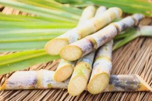Utilizările, proprietățile și beneficiile trestiei de zahăr