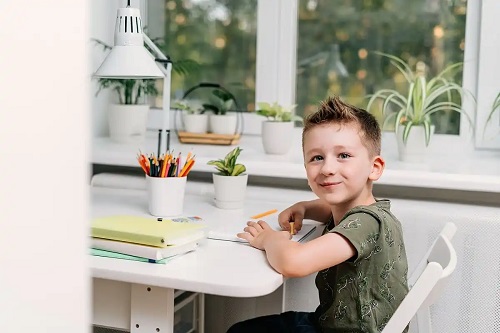 Copil care beneficiază de educația la domiciliu sau homeschooling