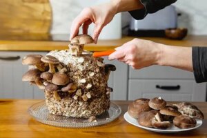 Cultivarea ciupercilor comestibile acasă: ghid pentru începători