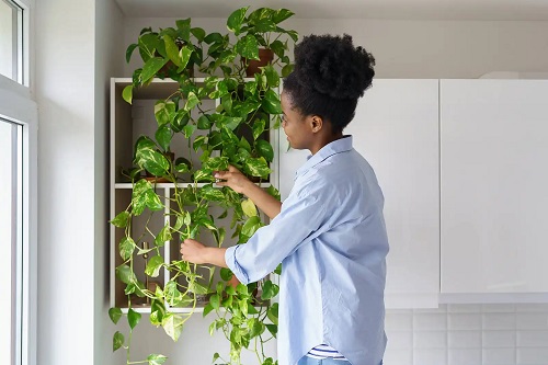 Femeie care poate decora casa ca un expert