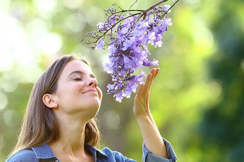 Femeie care miroase florile unui copac