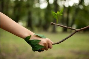 Cele mai bune 14 fraze pentru iubitorii de natură și viață