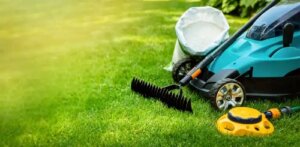 Ghid simplu pentru un gazon verde și sănătos primăvara