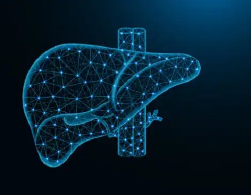 Hipertensiunea portală: cauze, simptome, diagnostic și tratament