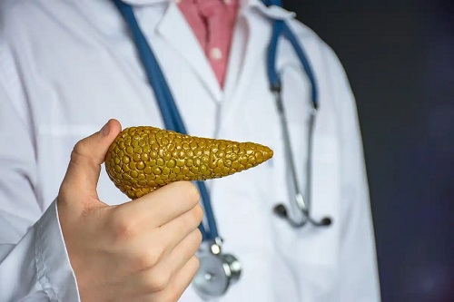 Medic care vorbește despre pancreas