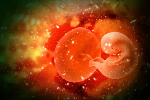 Ce este adopția de embrioni și care sunt avantajele acesteia?