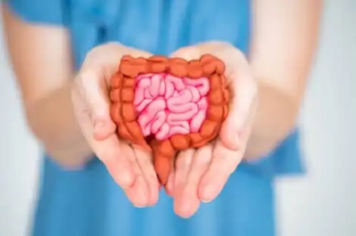 Îngrijirea microbiotei reduce simptomele menopauzei