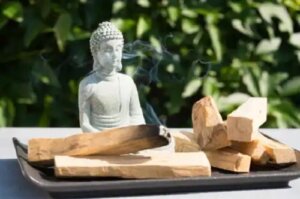 Palo santo: beneficii și utilizări ale „lemnului sfânt”