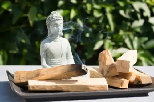 Palo santo: beneficii și utilizări ale „lemnului sfânt”