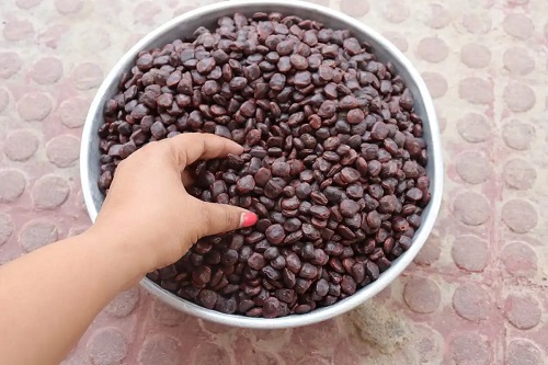 Semințe de tamarind
