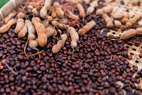 Semințele de tamarind au beneficii