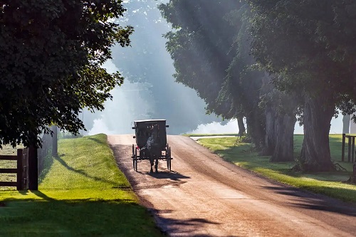 Stilul amish a fost inspirația pentru stilul kinfolk