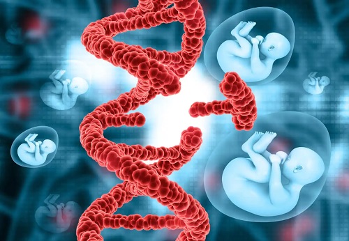 ADN fetal
