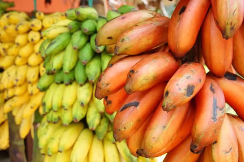Soiuri de banane