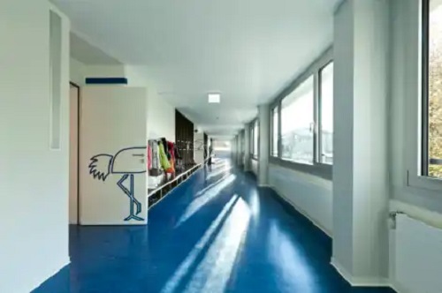 Podelele din linoleum natural: ce sunt, avantaje și dezavantaje