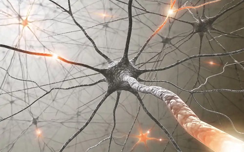 Neuron activ