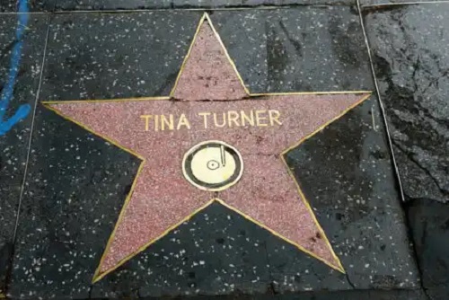 Tina Turner a murit: lupta ei împotriva problemelor de sănătate