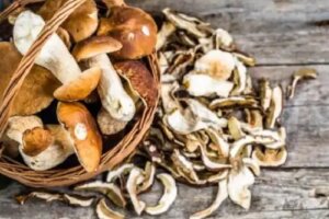Care sunt beneficiile ciupercilor porcini (hribi) și cum se prepară?