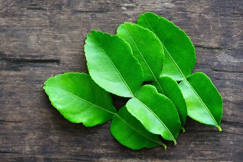 Frunzele de kaffir lime folosite proaspete