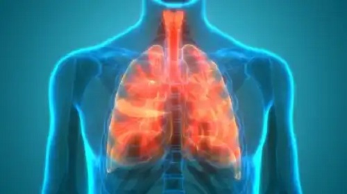 Microbiomul pulmonar: plămânii sunt sterili?