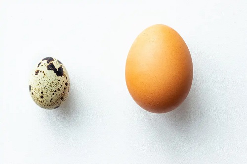 Ou de găină și prepeliță