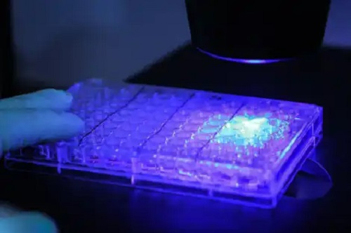 Tratament nou pentru cancer? Totul despre fotoimunoterapie